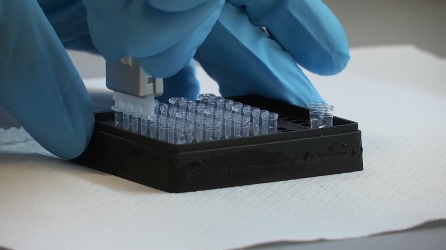 Chimie Clinique laboratory