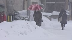 Schneechaos in Japan - Todesopfer und Tausende im Stau 