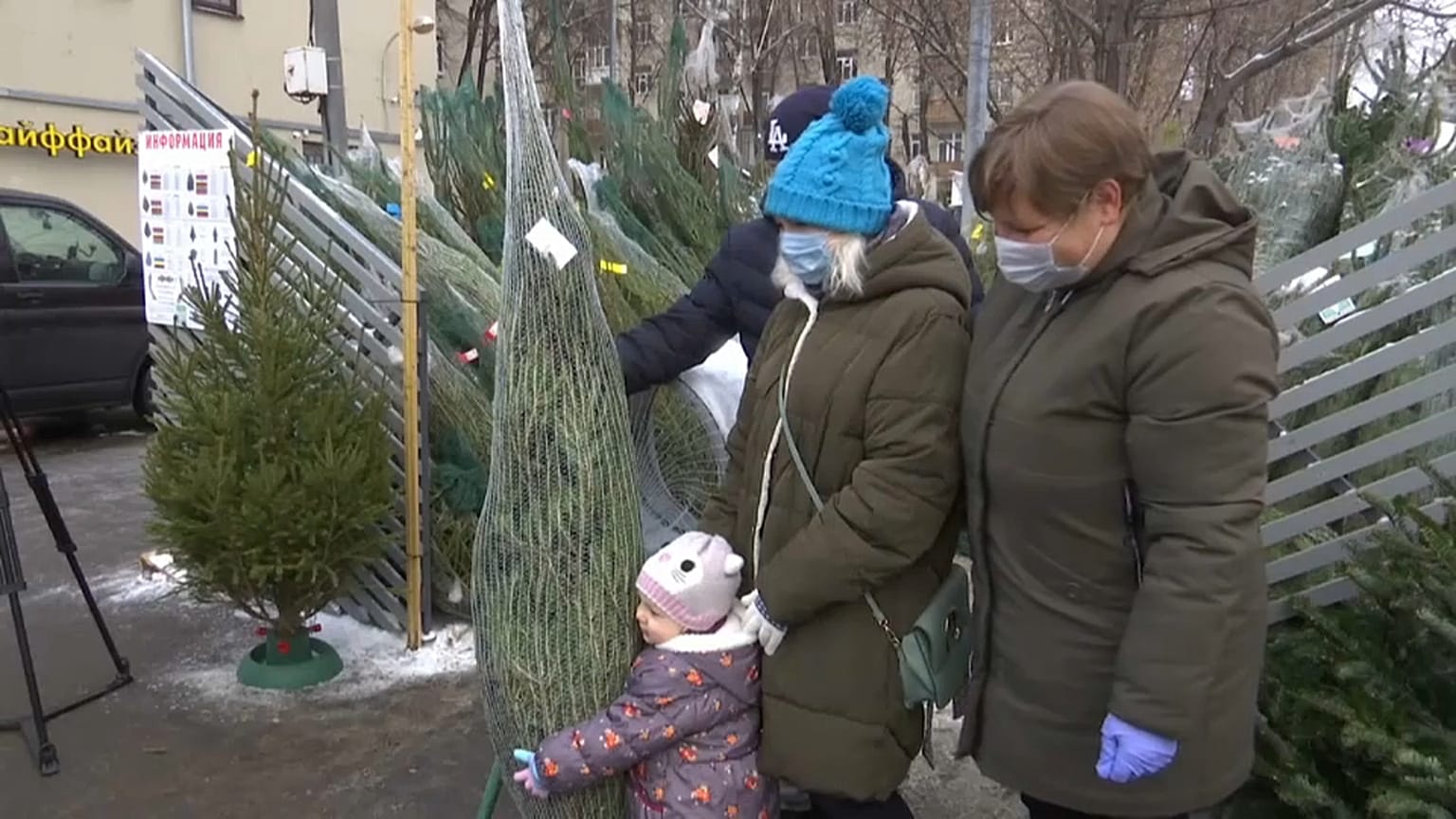 Елочные базары в Москве