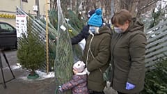Елочные базары в Москве
