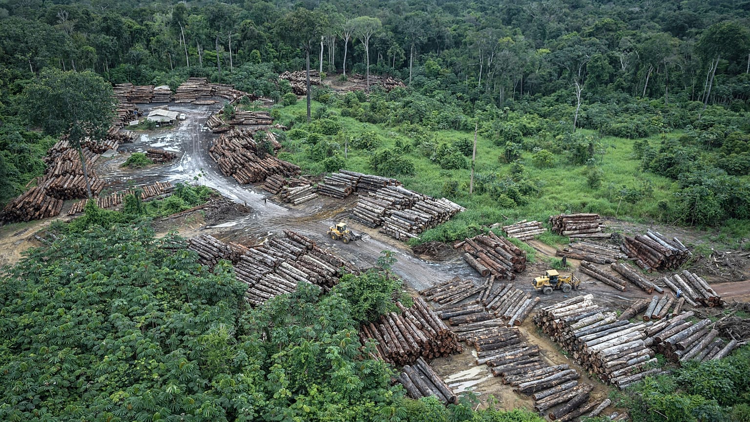 FILE: May 8, 2018 Illegally deforested area on Pirititi indigenous lands (Brazilian Environmental and Renewable Natural Resources Institute)