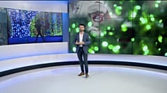 5 bonnes nouvelles en 2020 en dehors du Covid-19