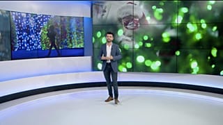 5 bonnes nouvelles en 2020 en dehors du Covid-19