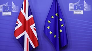 English has been an official language of the EU since 1973.