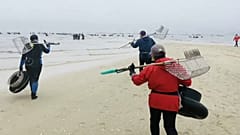 Pescadores de marisco tentam superar impacto da pandemia na Galiza
