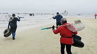 Охотники за моллюсками на пляжах Ноя, кадр из видео