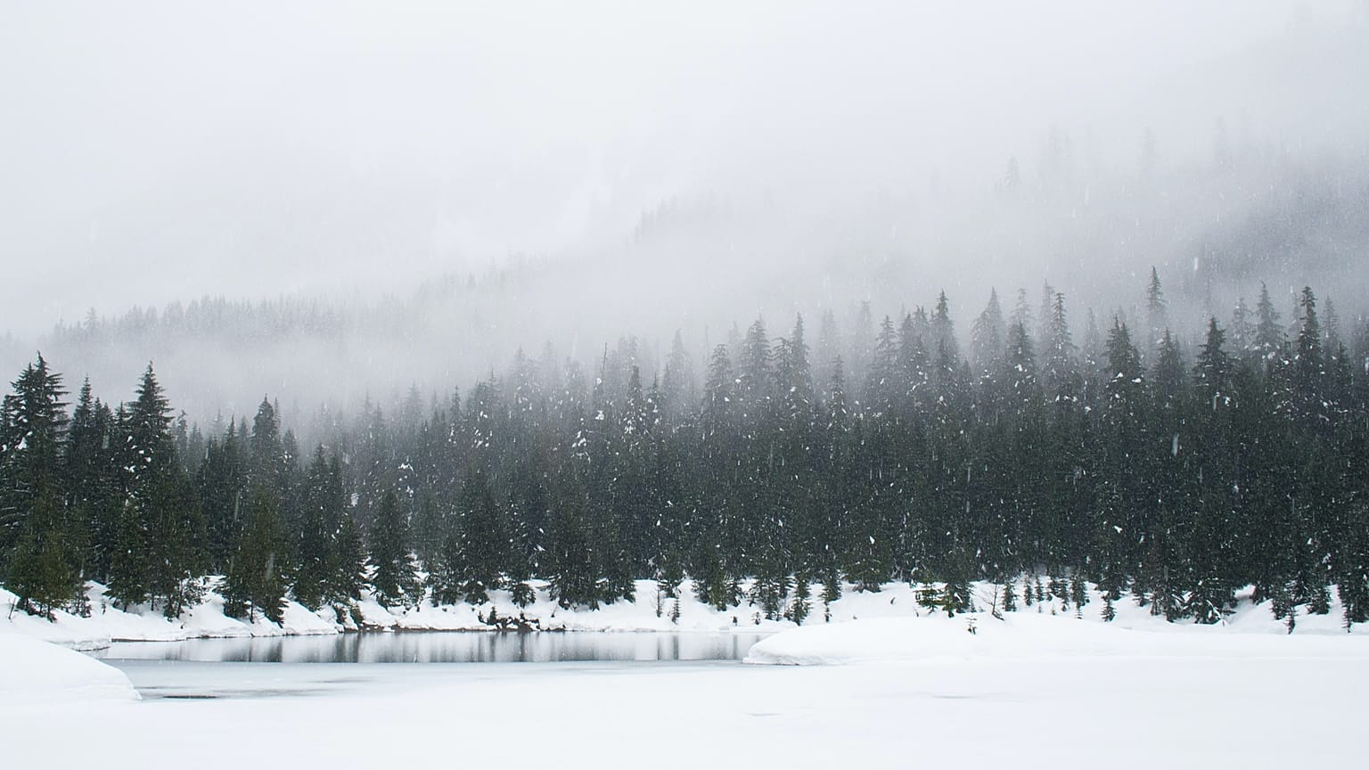 Who is forecast snow this Christmas?