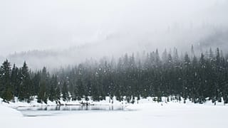 Who is forecast snow this Christmas?