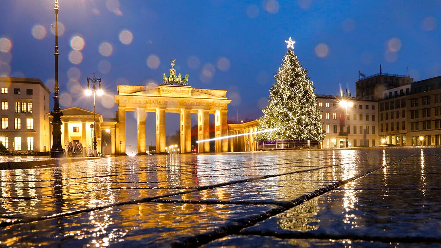 Weihnachtsbaum am Brandenburger Tor in Berlin