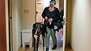 Il coccolone Marley è pronto per la visita agli amici umani. 