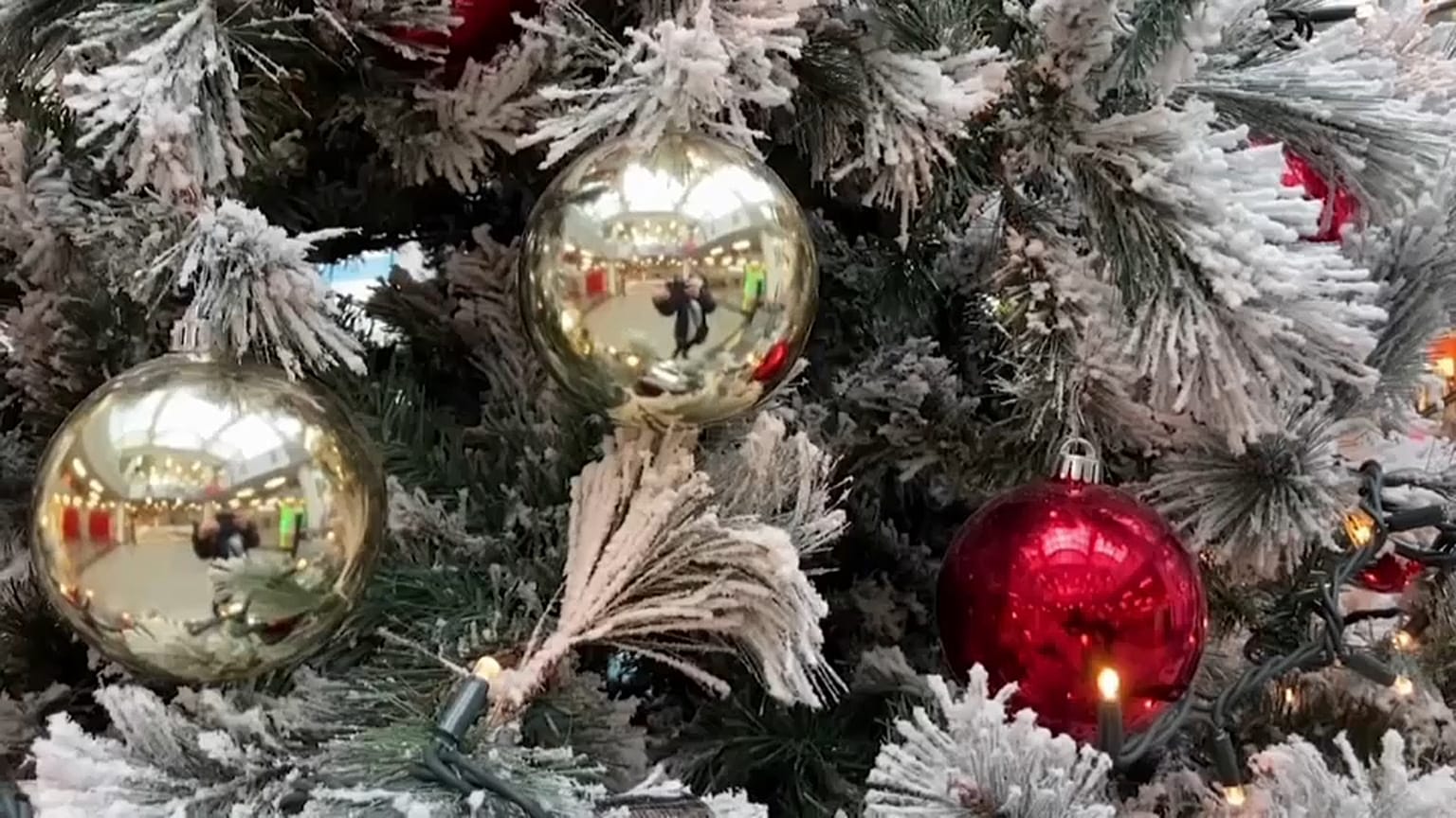 Albero di Natale
