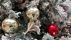 Albero di Natale