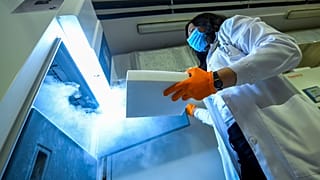 В Германии и Венгрии в субботу началась вакцинация