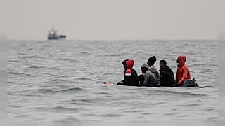 migrants