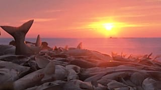 Fischen bei Minus 25 Grad