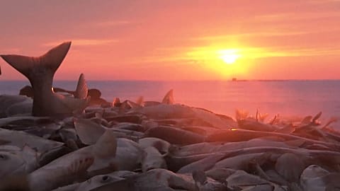 Fischen bei Minus 25 Grad