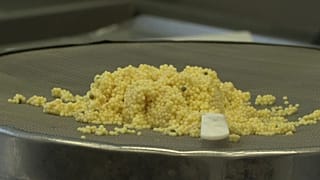Le caviar blanc "Made in Austria" se négocie à plus de 1 300 euros les 100 grammes 