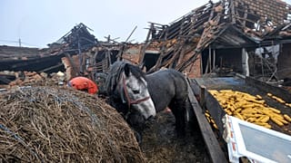 Majske Poljane falu 2020. december 30-án
