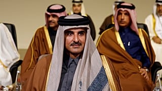 أمير قطر الشيخ تميم بن حمد آل ثاني
