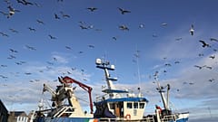 Un pesquero en el puerto de Dublín