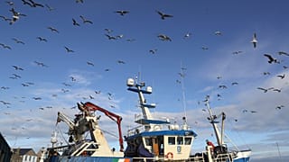 Un pesquero en el puerto de Dublín