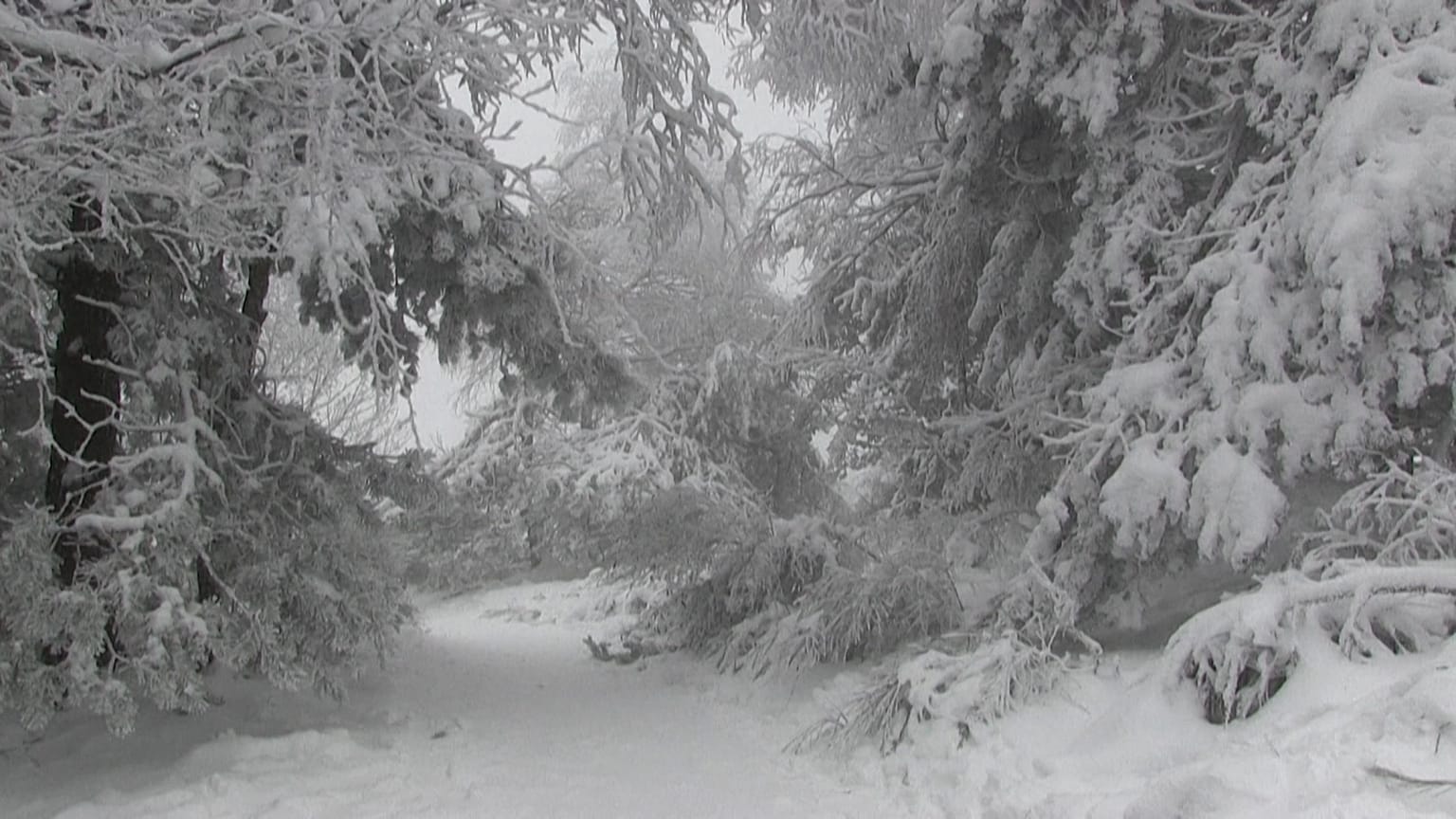 Erster Schneefall des Winters in Saint-Étienne