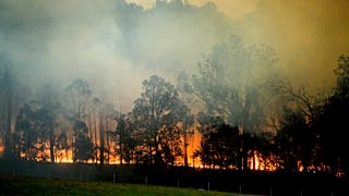 Les incendies repartent à l'assaut de l'Australie