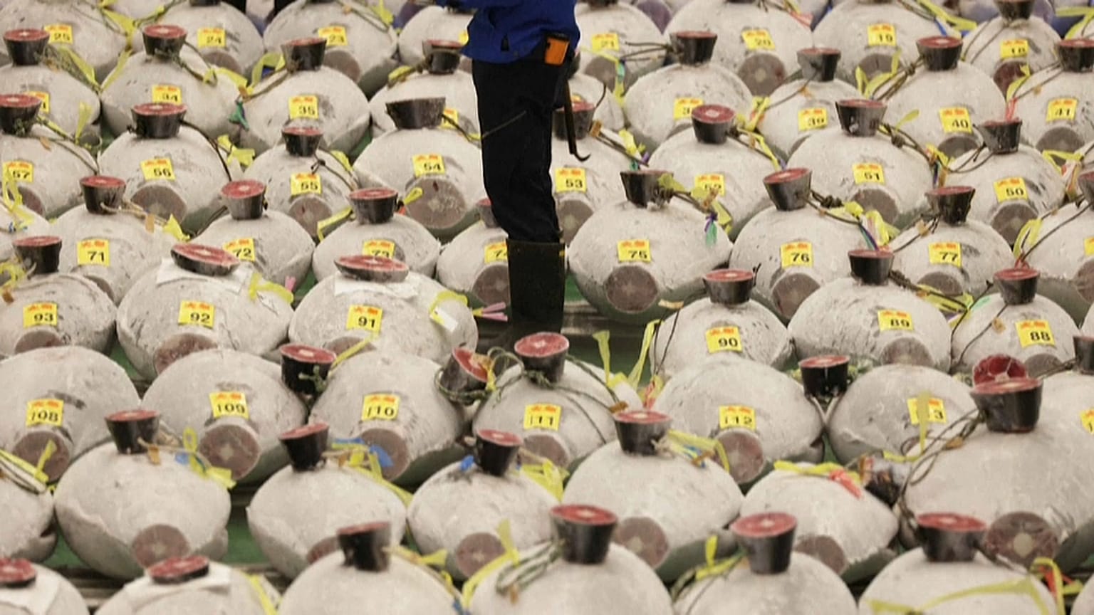 Pandémie au Japon : une vente aux enchères de thon en demi-teinte 