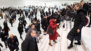 تنوع المجتمع