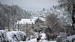Un caballo camina a lo largo del camino mientras la nieve cubre el paisaje en el pequeño pueblo de Esnotz, en los Pirineos, al norte de España, el martes 5 de enero de 2021.