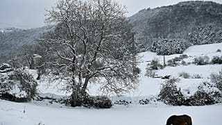 سرمای بی‌سابقه در شمال اسپانیا