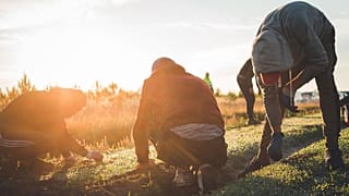 Travailleurs saisonniers dans un champ de carottes Larrère près de Liposthey