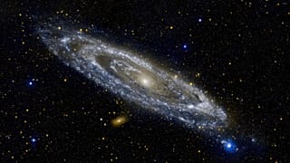 عکس تزئینی است