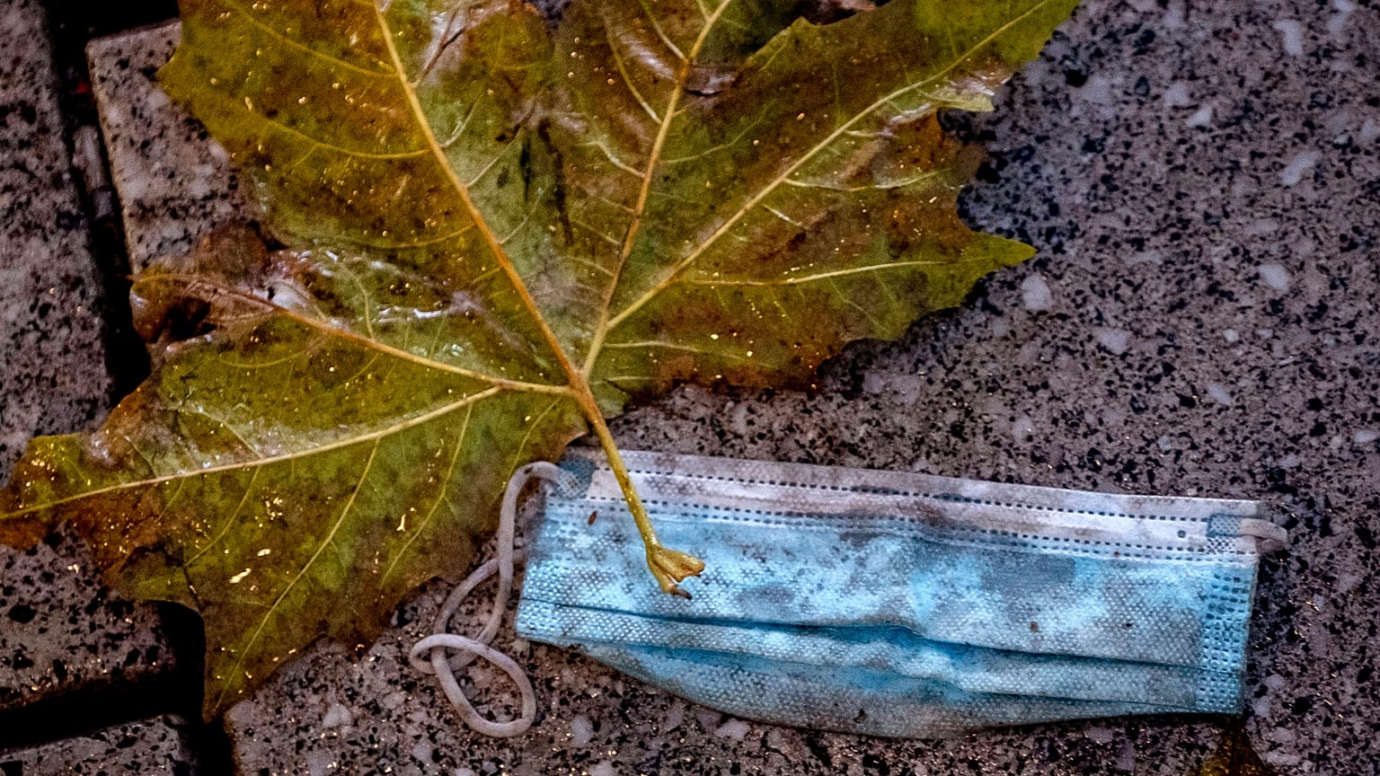 Sind nicht nur eklig, sondern können für Tiere auch tödlich enden: weggeworfene Masken.