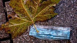 Sind nicht nur eklig, sondern können für Tiere auch tödlich enden: weggeworfene Masken.