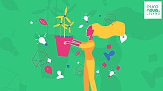 Our new Green newsletter