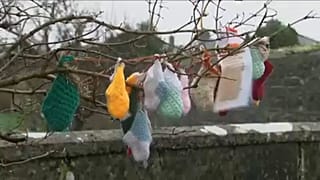 Governo irlandês pede desculpa por abusos em casas para mães solteiras