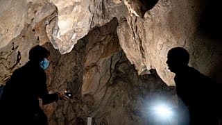 عکس تزئینی است