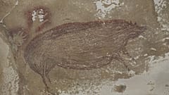 Древнейший наскальный рисунок обнаружен в пещере в Индонезии на юге острова Сулавеси