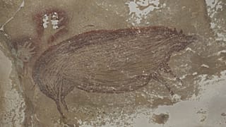 Древнейший наскальный рисунок обнаружен в пещере в Индонезии на юге острова Сулавеси