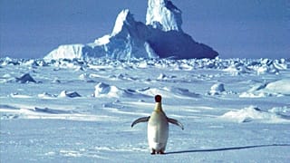 "Hitzewelle" in der Antarktis: Temperatur mehr als 30ºC über dem Durchschnitt
