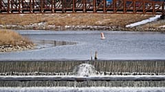 ABD'deki Flint nehri