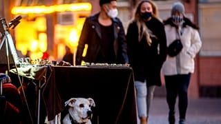 Junge Leute mit Masken, einer mit FFP2, in Frankfurt