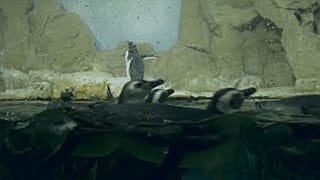 Acuario de Génova