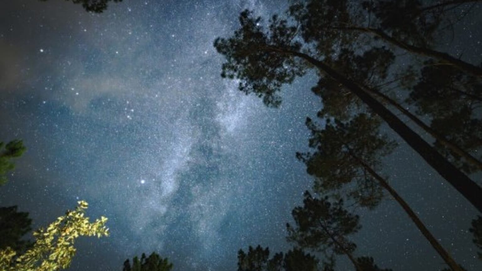 Landes de Gascogne Regional Natural Park in France