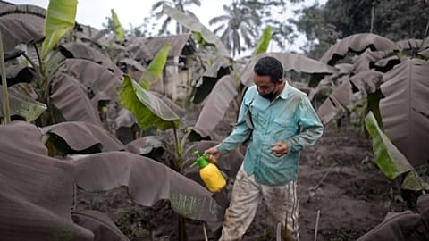 Indonesian volcano billows ash