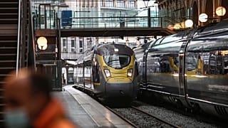 Поезда Eurostar, осуществляющие перевозку через туннель под Ла-Маншем.