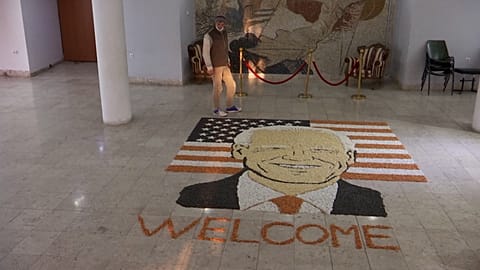 Portrait of Biden smiling, artwork with grain seeds.