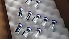 Fioles de vaccins Pfizer-BioNTech contre le Covid-19, Paris, 18 janvier 2021