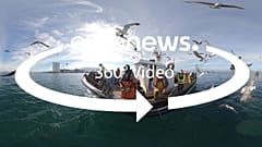 ЕС на страже океанов и качества морепродуктов